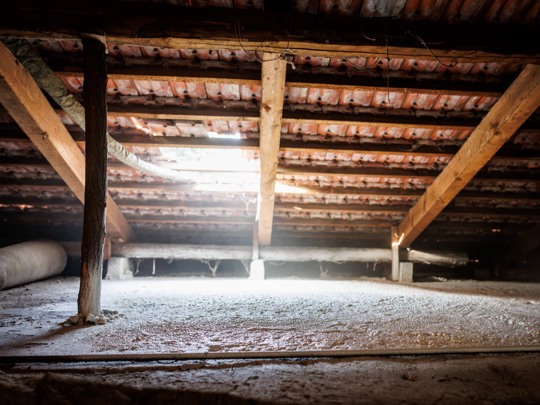 Sottotetto *azione* *cosa* *dove*