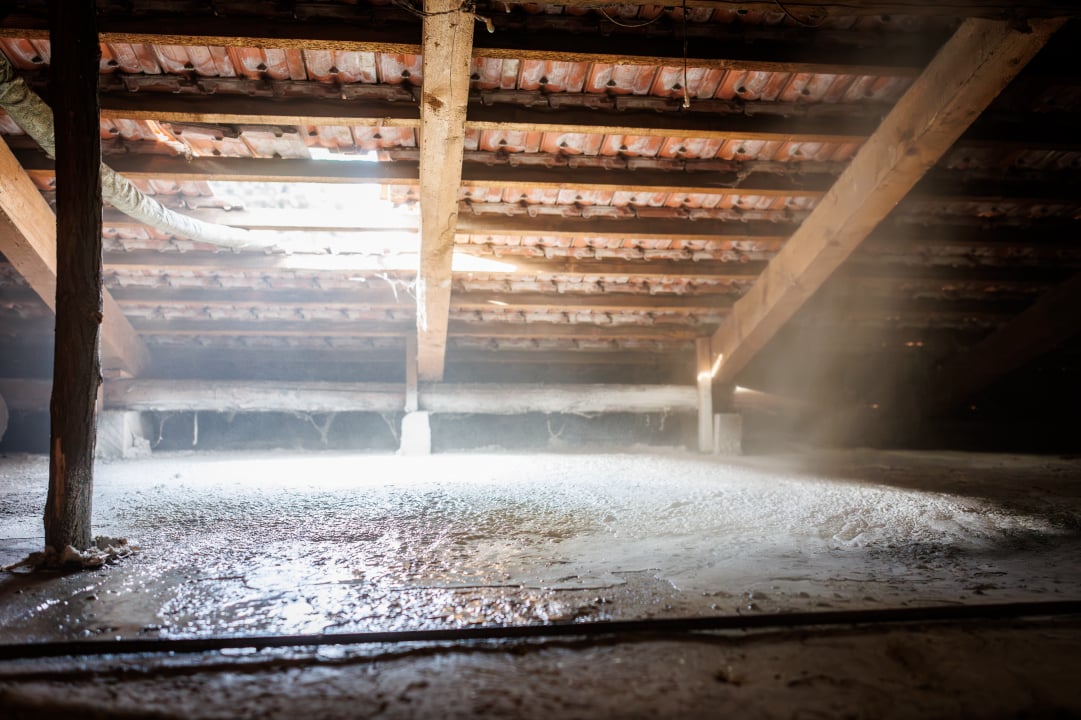 Sottotetto  *azione* *cosa* *dove*