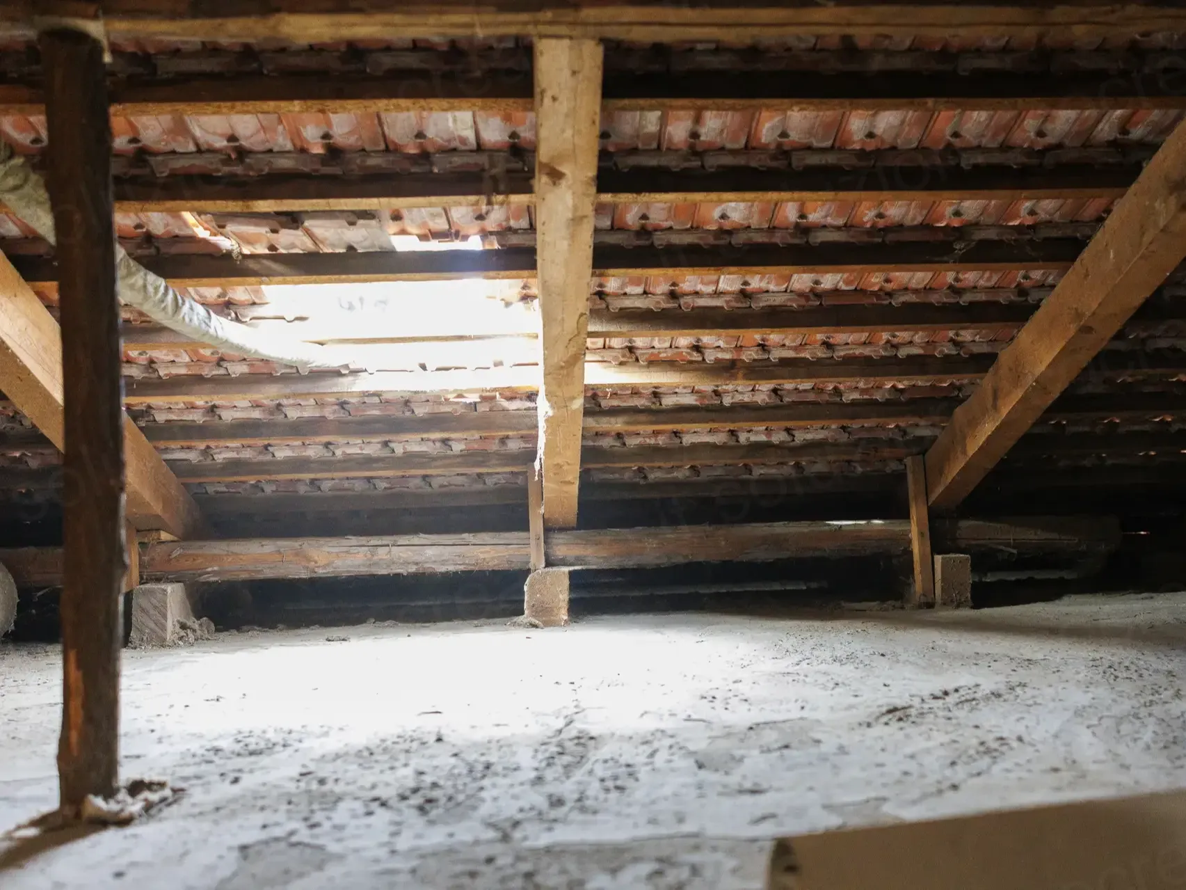 Sottotetto    Sarzana